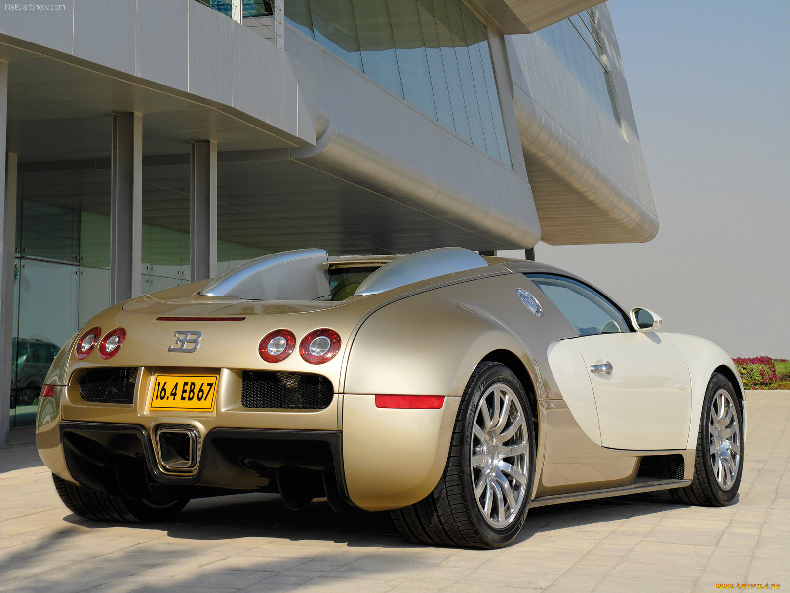 bugatti, veyron, 2009, 